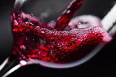Bardolino DOC Classico | Overbekende helderrode wijn
