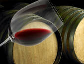 Chteau de Santenay Bourgogne AOC Pinot Noir Vieilles Vignes