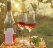 Pierre Baptiste Grenache-Syrah Rose Cuvee de la Selection Pays d'Oc IGP