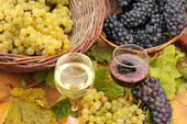 Aurora Pinot Noir 2012 | Fruitige goudbekroonde wijn