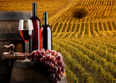 Beste rode wijn Speciaal is de Bikaver zeker.