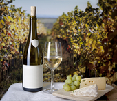 Colombelle Blanc 2012 | Frisse, levendige witte wijn
