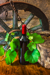 Givas Dolcetto DOC 2013 | Elegante rode Italiaanse wijn