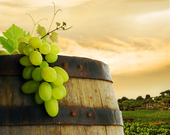 Hongaarse wijnbouw een cultureel erfgoed