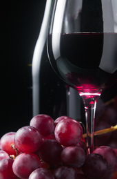 Mallard-Gaulin Pinot Noir Gevrey-Chambertin | Bourgogne | Frankrijk