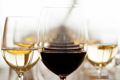 Shaw Vineyard Winemakers Selection Shiraz `08