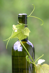 Stellar Winery Organic White | 2012
