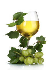 Tariquet Chardonnay | Frisse wijn met kracht en finesse